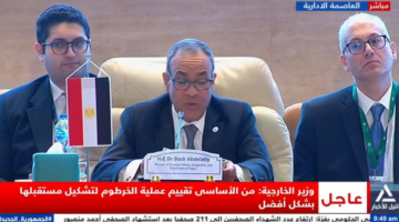وزير الخارجية: مصر مأوى لنحو 10 ملايين ضيف من المهاجرين والوافدين