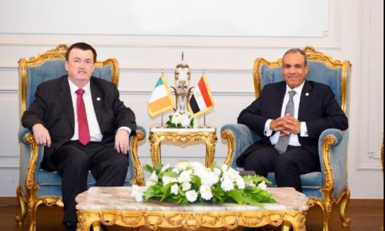 وزير الخارجية يثمن الطفرة في العلاقات بين مصر وأيرلندا