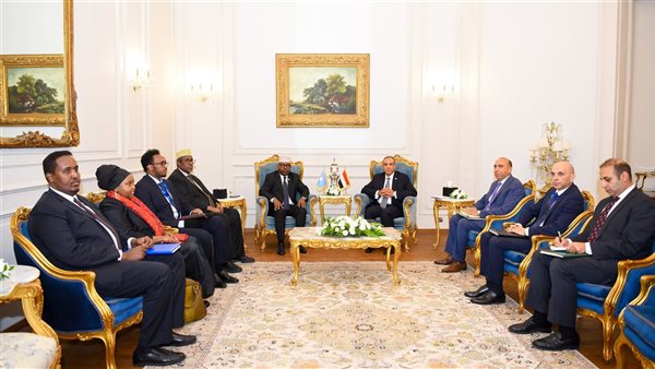 وزير الخارجية يلتقي نظيره الصومالي وزير الخارجية يلتقي نظيره الصومالي