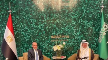 وزير الخارجية يلتقي وزير الطاقة السعودي