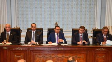 وزير الزراعة: الحكومة ملتزمة بسداد مستحقات مزارعي القطن