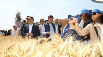 وزير الزراعة ومحافظ الشرقية ونائب مدير مكتب برنامج الأغذية العالمي يفتتحون موسم حصاد القمح بالمحافظة