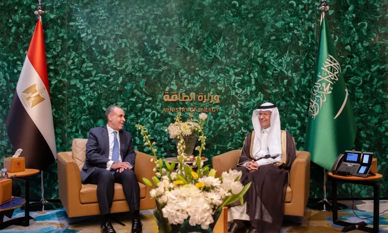 وزير الطاقة السعودي يستقبل وزير الخارجية والهجرة المصري وزير الطاقة السعودي يستقبل وزير الخارجية والهجرة المصري