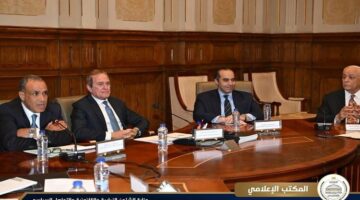 وزيرا الخارجية والشئون النيابية يحضران اجتماع لجنة حقوق الإنسان بـ"الشيوخ"