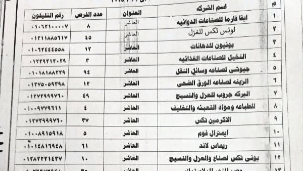 وظائف خالية.. الشرقية تعلن إتاحة 984 فرصة عمل داخل 21 مصنعًا وشركة وظائف خالية.. الشرقية تعلن إتاحة 984 فرصة عمل داخل 21 مصنعًا وشركة