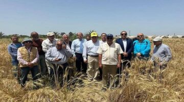وفدمركزالبحوث الزراعية ونقابة الزراعيين يبحث تعزيز محصول القمح بالإسماعيلية