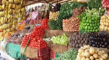 أسعار الخضروات ثابتة اليوم في سوق المنشية بالإسكندرية، والبطاطس تباع بـ8 جنيهات للكيلو