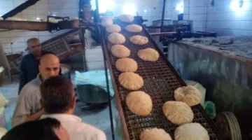 محافظ الدقهلية يجري جولة مفاجئة على المخابز لمتابعة الالتزام بجودة رغيف الخبز