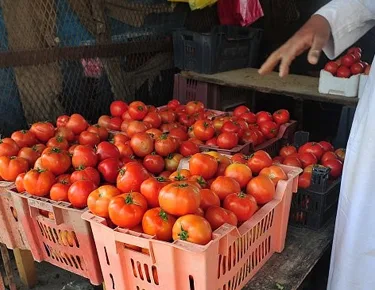 زيادة أسعار الخضروات في أسواق الإسكندرية اليوم.. الطماطم تصل إلى 10 جنيهات