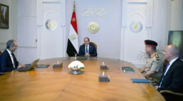 الرئيس السيسي: اختيار المشاركين في المبادرة الرقمية يتم بموضوعية تامة ودون محاباة