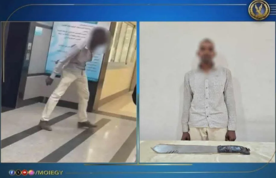 ضبط شخص يروع العاملين بمستشفى بأسوان ضبط شخص يروع العاملين بمستشفى بأسوان