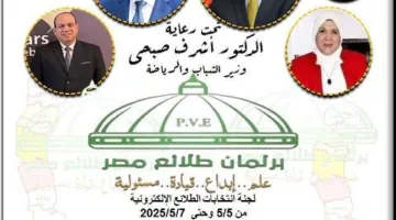 المنيا تتفوّق في انتخابات برلمان طلائع مصر: أعلى نسبة تصويت وأكثر عدد من المقاعد بـ69 نائبًا.