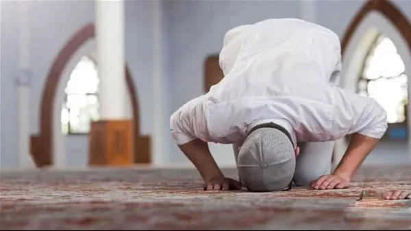 12 ركعة واظب عليها النبي وتبني لك بيتًا في الجنة.. لا تفوت أجرها 12 ركعة واظب عليها النبي وتبني لك بيتًا في الجنة.. لا تفوت أجرها