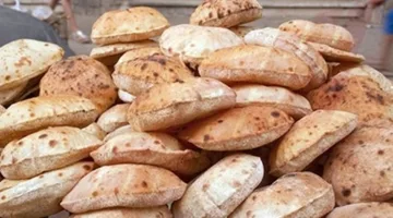 وزير الزراعة: استدامة توفير الخبز المدعم حال زيادة إنتاجية القمح لـ4.5 مليون طن