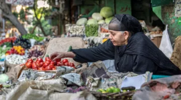 الثوم يصل لـ80 جنيها للكيلو.. ارتفاع أسعار الخضروات والفاكهة في أسواق الإسكندرية