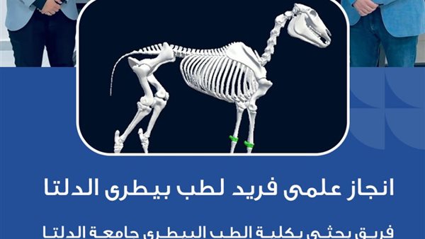 الهيكل العظمي الناطق للحصان.. نقلة نوعية بالتعليم البيطري في جامعة الدلتا الهيكل العظمي الناطق للحصان.. نقلة نوعية بالتعليم البيطري في جامعة الدلتا