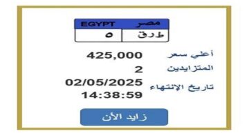 سعرها تخطى الـ 400 ألف جنيه.. «المرور» تطرح التزايد على لوحة سيارة مميزة