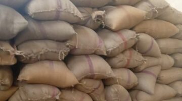 محافظ المنيا: توريد أكثر من 100 ألف طن قمح