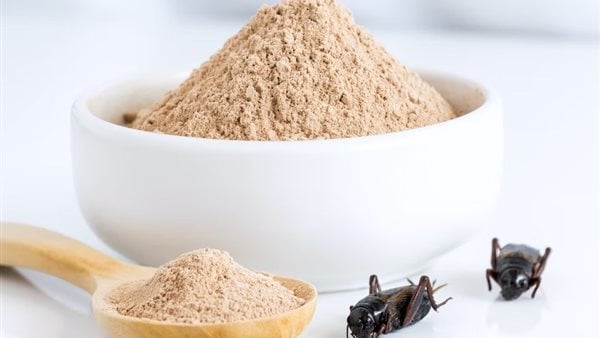 طرق طبيعية للتخلص من الحشرات المنزلية في الصيف دون مبيدات خطرة طرق طبيعية للتخلص من الحشرات المنزلية في الصيف دون مبيدات خطرة