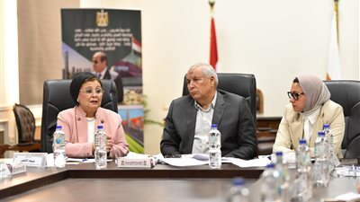 الصحة تشيد بجهود الوادي الجديد في تنفيذ خطة تحسين الخصائص السكانية وتحقيق أهداف الاستراتيجية الوطنية للسكان الصحة تشيد بجهود الوادي الجديد في تنفيذ خطة تحسين الخصائص السكانية وتحقيق أهداف الاستراتيجية الوطنية للسكان