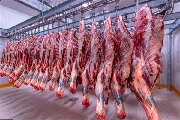 سعر كيلو اللحم البقري قائم قبل دخول عيد الأضحى 2025 سعر كيلو اللحم البقري قائم قبل دخول عيد الأضحى 2025