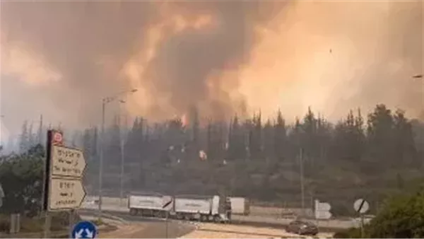 إسرائيل تعلن السيطرة بشكل كامل على حرائق جبال القدس إسرائيل تعلن السيطرة بشكل كامل على حرائق جبال القدس