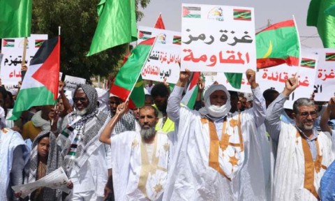 “معا من أجل فلسطين”.. عمال موريتانيا يتضامون مع غزة “معا من أجل فلسطين”.. عمال موريتانيا يتضامون مع غزة