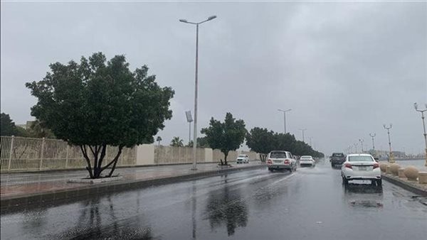 حالة الطقس غدا الجمعة 2 مايو 2025 على القاهرة والمحافظات.. انخفاض كبير في درجات الحرارة حالة الطقس غدا الجمعة 2 مايو 2025 على القاهرة والمحافظات.. انخفاض كبير في درجات الحرارة