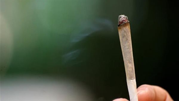 القبض على متهمين بحوزتهما 30 كجم حشيش في السويس القبض على متهمين بحوزتهما 30 كجم حشيش في السويس
