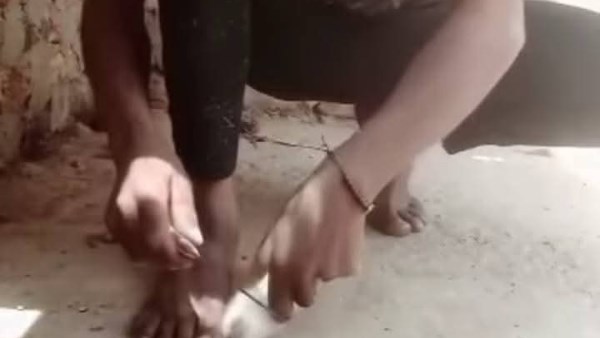 أمن الأقصر يلقي القبض على شاب نحر قطة في بث مباشر أمن الأقصر يلقي القبض على شاب نحر قطة في بث مباشر