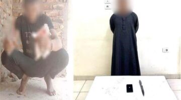ضبط المتهم بالتعدي على «قطة» بسلاح أبيض في الأقصر