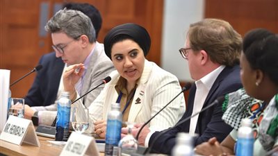 النائبة أميرة صابر تشارك في اجتماعات البنك الدولي وتفتتح جلسة مبادرة شباب البرلمانيين العالمية النائبة أميرة صابر تشارك في اجتماعات البنك الدولي وتفتتح جلسة مبادرة شباب البرلمانيين العالمية