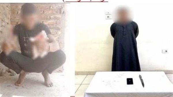 جنون المشاهدات.. الداخلية تضبط بطل فيديو التعدي على قطة بسلاح أبيض جنون المشاهدات.. الداخلية تضبط بطل فيديو التعدي على قطة بسلاح أبيض