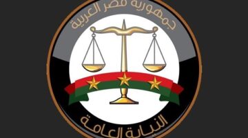 تحرك سريع للنيابة العامة بعد تداول فيديو مروع لاختطاف طفل في الجيزة | التفاصيل