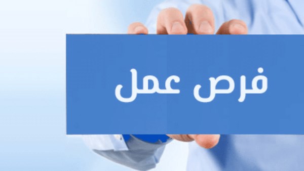 4424 وظيفة بالقطاع الخاص في 13 محافظة.. ووزير العمل يشدد على تطبيق الحد الأدنى 4424 وظيفة بالقطاع الخاص في 13 محافظة.. ووزير العمل يشدد على تطبيق الحد الأدنى