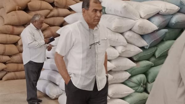 توريد 111 ألفًا طن من القمح لشون وصوامع المنيا توريد 111 ألفًا طن من القمح لشون وصوامع المنيا