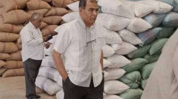 توريد 111 ألفًا طن من القمح لشون وصوامع المنيا