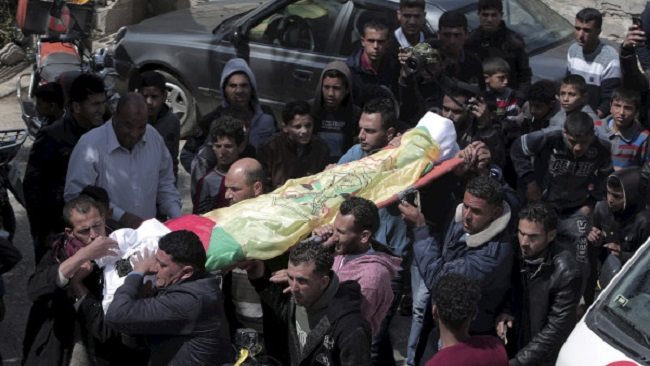 انتشال جثمان شهيد فلسطيني متحلل على شاطئ مدينة رفح انتشال جثمان شهيد فلسطيني متحلل على شاطئ مدينة رفح