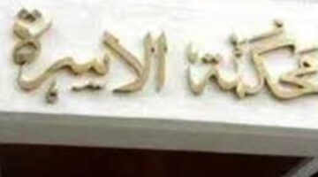 أهله السبب.. صرخة زوجة أمام محكمة الأسرة لتضررها من زوجها