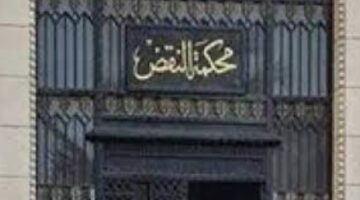 تأييد حكم الإعدام على المتهم بق.تل شاب في حلوان