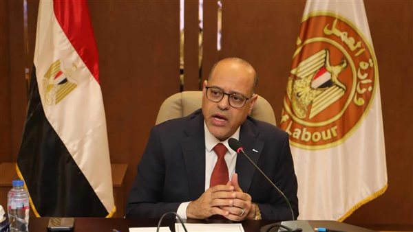 وزير العمل: القانون الجديد قضى على تلاعب أصحاب العمل باستمارة 6 وزير العمل: القانون الجديد قضى على تلاعب أصحاب العمل باستمارة 6