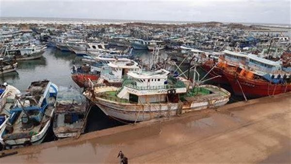 عودة الملاحة في سواحل البحر المتوسط بكفر الشيخ واستئناف رحلات الصيد من ميناء البرلس عودة الملاحة في سواحل البحر المتوسط بكفر الشيخ واستئناف رحلات الصيد من ميناء البرلس