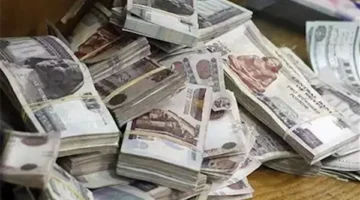 ضبط 8 ملايين جنيه خلال حملة أمنية على السوق السوداء بالمحافظات