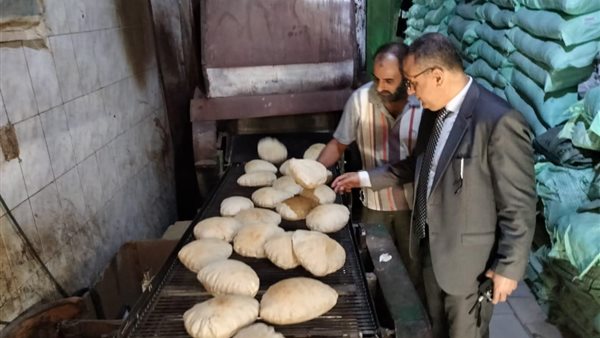 ضبط 5 طن دقيق ومصنعات لحوم بالدقهلية ضبط 5 طن دقيق ومصنعات لحوم بالدقهلية