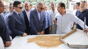 «ذهب المنيا».. المحافظ يتابع حصاد الخير ويؤكد: 120 ألف طن قمح حتى الآن