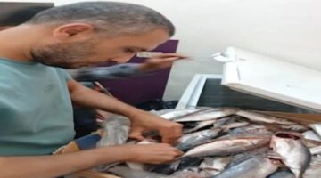 ضبط 14 طن لحوم ودواجن فاسدة في حملات بالمنوفية