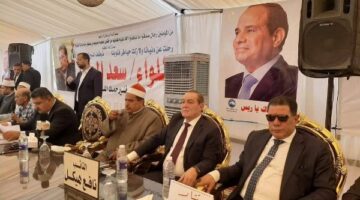الكفن ينهي خصومة ثأرية امتدت 11 عاما في مركز الصف بالجيزة