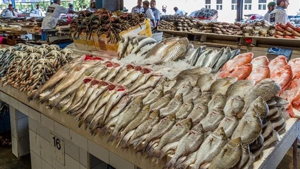 ارتفاع سعر البلطي لـ100 جنيه.. أسعار الأسماك اليوم السبت في سوق العبور ارتفاع سعر البلطي لـ100 جنيه.. أسعار الأسماك اليوم السبت في سوق العبور