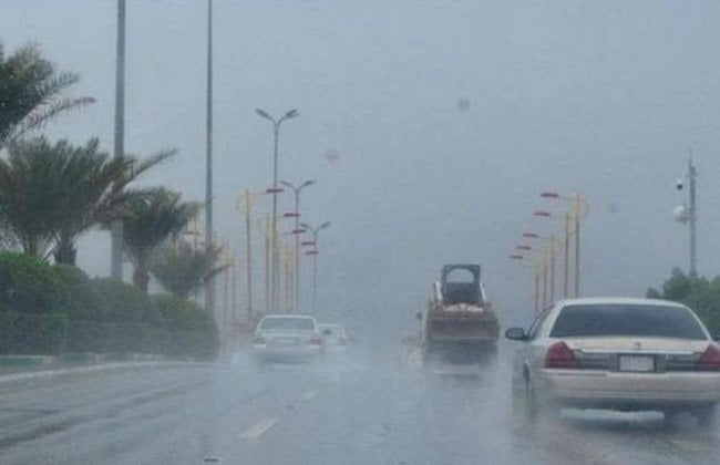 أمطار غزيرة تضرب القليوبية.. والمحافظة ترفع حالة الطوارئ للتعامل مع تجمعات المياه أمطار غزيرة تضرب القليوبية.. والمحافظة ترفع حالة الطوارئ للتعامل مع تجمعات المياه