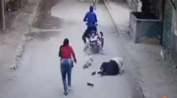 تفاصيل صادمة.. قرار عاجل من النيابة بحبس شاب تعدى على شقيقته وصغيرتها